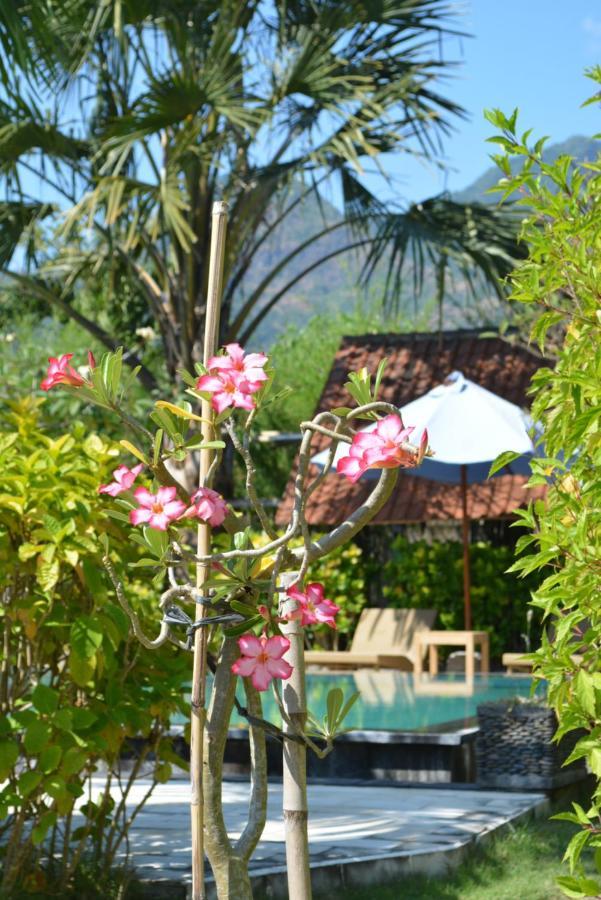 Sunia Loka Bungalows & Dive Center Pemuteran Екстериор снимка