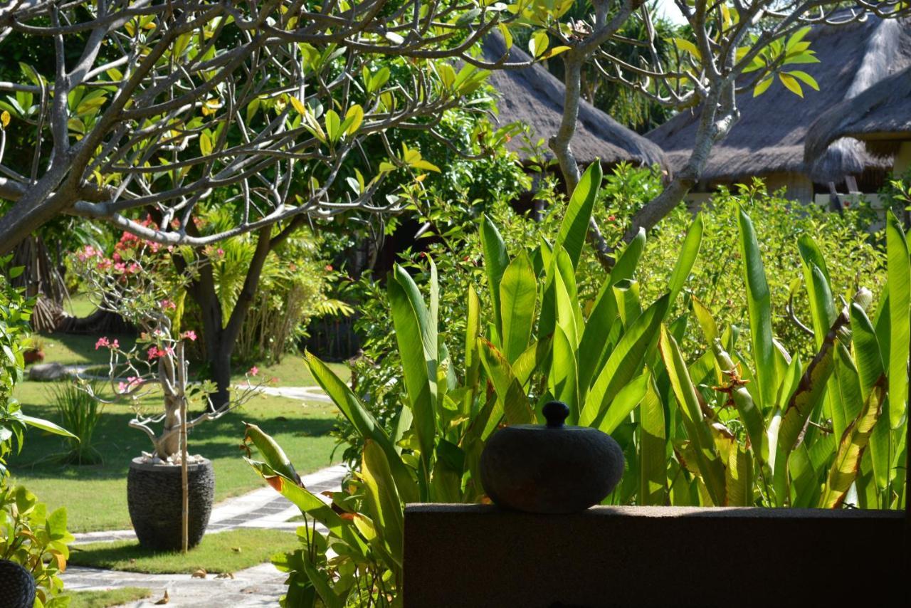Sunia Loka Bungalows & Dive Center Pemuteran Екстериор снимка