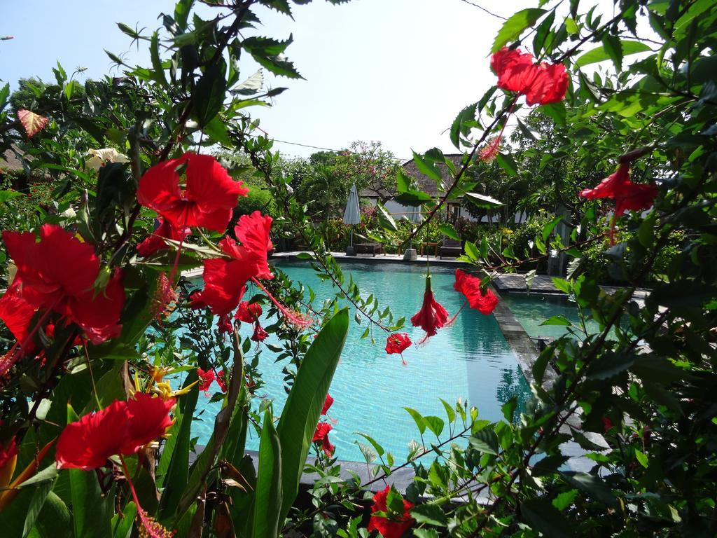 Sunia Loka Bungalows & Dive Center Pemuteran Екстериор снимка