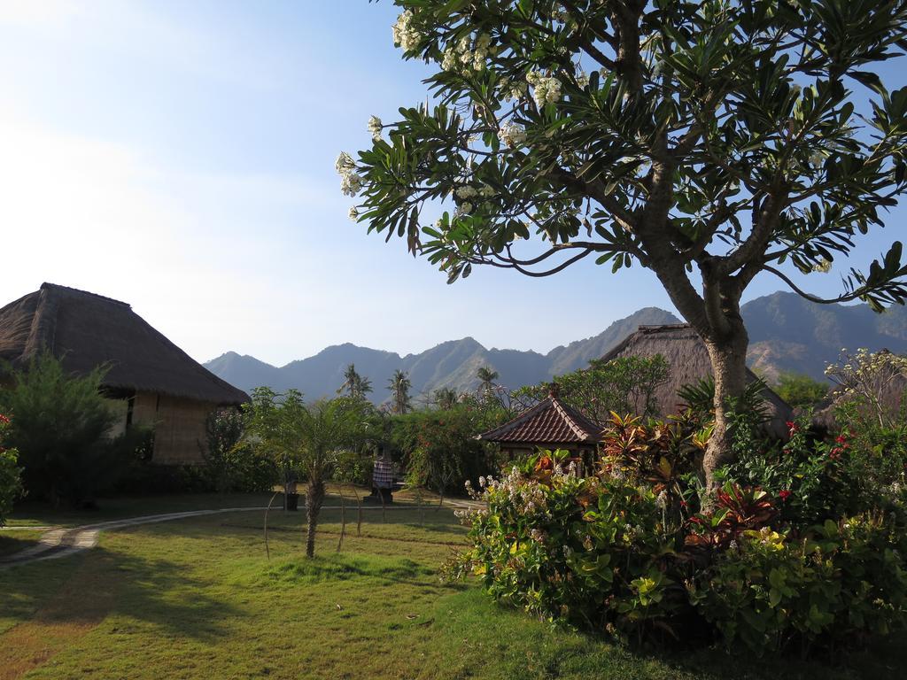 Sunia Loka Bungalows & Dive Center Pemuteran Екстериор снимка